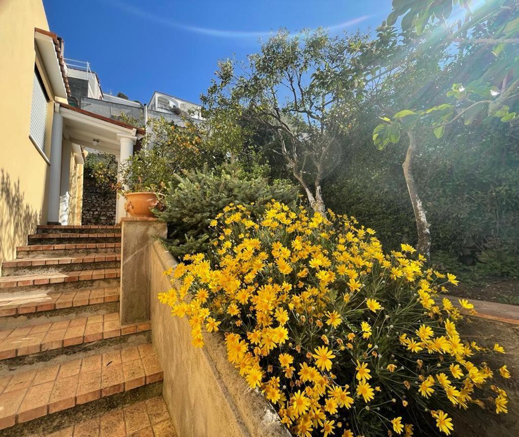 Villa Dorothee Capri Exterior foto