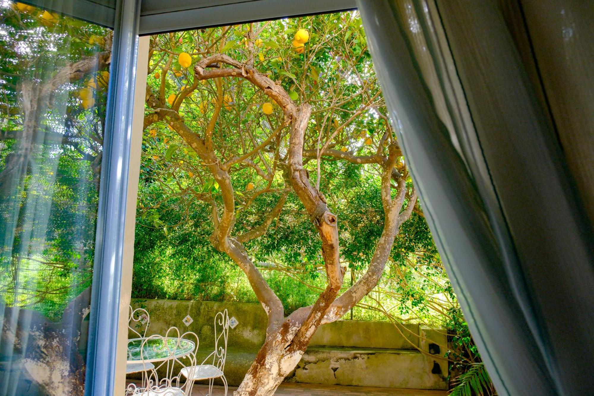 Villa Dorothee Capri Exterior foto